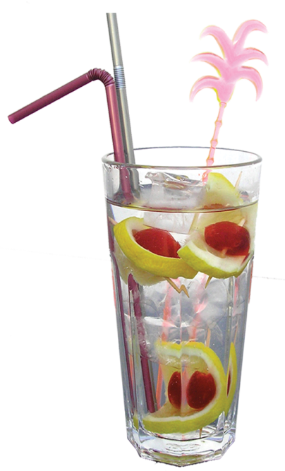 Alabama Fizz - 300 мл.